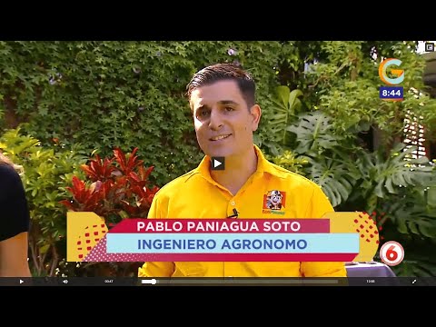 Giros: dangers in the garden