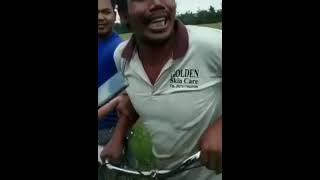 Download lagu kepeseng neng kali mp3