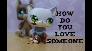 LPS~How Do You Love Someone -  Ashley Tisdale