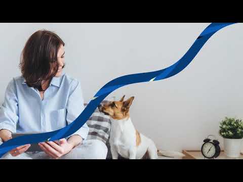 Multi species RECOMBITEK C6 INJ, 1 dose, Vaccine form: Recombinant