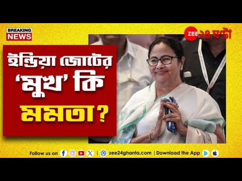 Mamata Banerjee | সংসদে দাঁড়িয়ে পরোক্ষে মমতা-সওয়াল ডেরেকের! | Zee 24 Ghanta