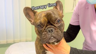 My Frenchie Needs A Therapy / TANTRUM PARTY
