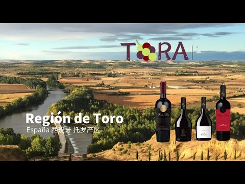 From Region del Toro to Your Table!