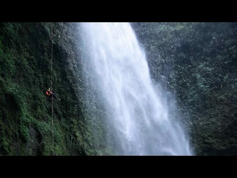 Gata Fiera (Costa Rica)
