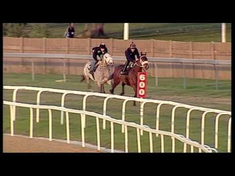 Greyville 26062014 July Gallop : King Of Pain
