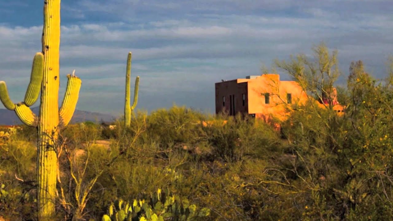Desert Ride ~ David Arkenstone