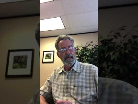 02   Bankruptcy Basics 071520