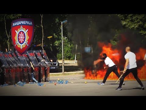 HAOS!! ŽANDARMERIJA protiv HULIGANA!!