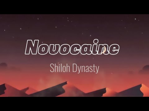 Shiloh Dynasty- Novocaine - lyrics (sped up)