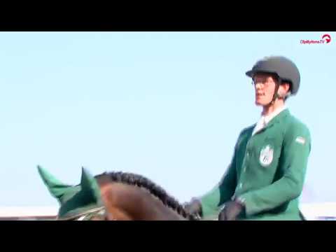 Harm Lahde | Oak Grove's Darshan | Finale | Weltmeisterschaft der Jungen Springpferde 2017
