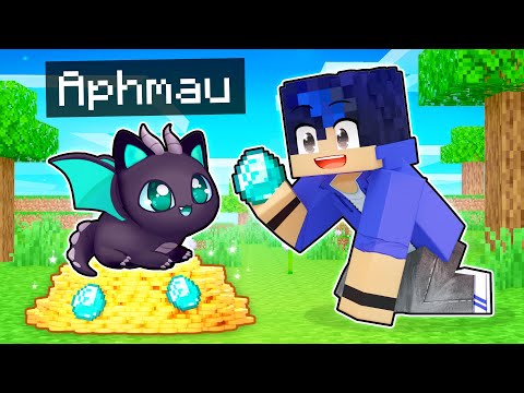 Ultimate Loyalty: Aphmau's Dragon Kitten Madness!