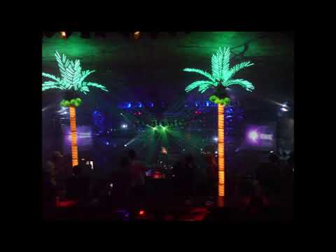 (B) DJ J Magic & Brian G + MC Shabba, Trigga, Palmer, Navigator, Fun