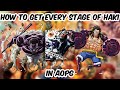 [AOPG] How To Get Every Stage Of Haki