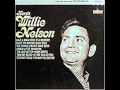 Willie Nelson - Things I Might Have Been