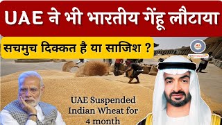 UAE ने भी Indian Wheat के निर्यात पर  लगाई रोक | UAE Suspended Indian Wheat |India UAE Relations,MJT