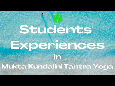 Students’ Experiences