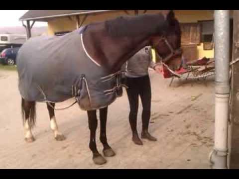 Dobre złego początki :)