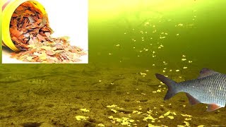 Витазар для рыбалки что это такое