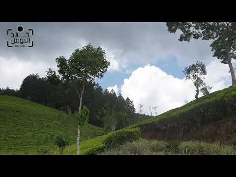 إني ذكرتك فخضرت بساتيني للمنشد عبدالعزيز آل تويم