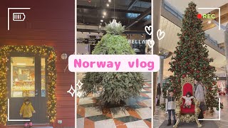 【ノルウェーvlog】子連れの年末旅行🇳🇴/フィヨルドツアーで自然を満喫