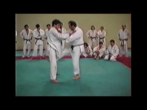 Winter Camp Andalo 1993 - Tachi waza - Renraku - Ko soto gari - Uchi mata - Tai otoshi