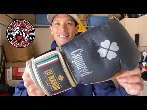 Dinardo Tutela Evo Custom Boxing Gloves REVIEW- THE TIME PIECE OF BOXING GLOVES?!