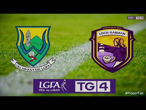 2022 06/05 Wicklow v Wexford - TG4 Intermediate Championship Group A Round 2