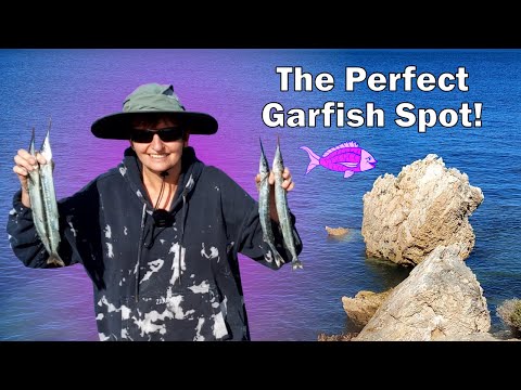 Float fishing for Garfish - Jolly Beach, Yorke Peninsula, South Australia