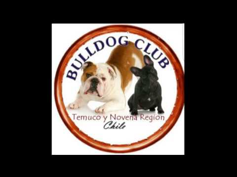 1era Junta Bull 2018