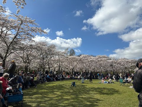 Netherlands - WhatsApp