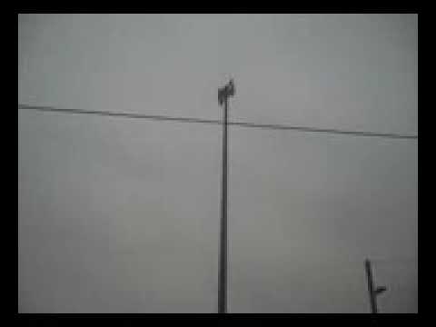 ECI600 Sirenenprobealarm in 01917 Kamenz Ortteil Brauna