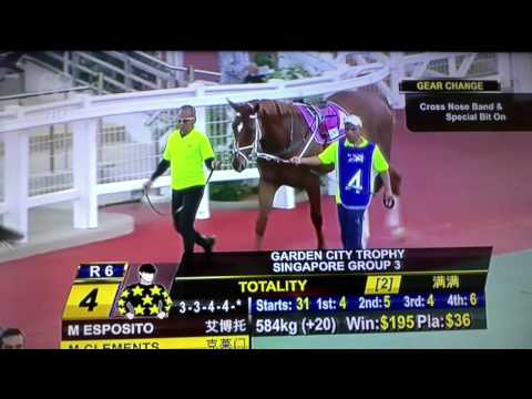 2015-09-20 R6 Garden City Trophy(G3) Turf