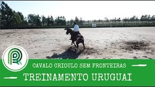 Miniatura do vídeo