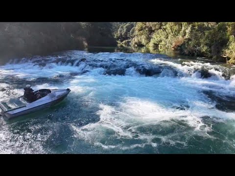 Jet boating nz. Pelorus and Rai falls