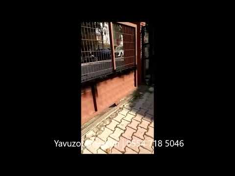 Двигатель откатных ворот Genius Blizzard 500 кг