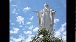 Memorial of the Presentation of the Blessed Virgin Mary -21st Nov 14