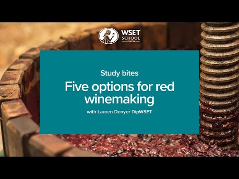 Study bites: five options for red winemaking (WSET Level 3 wine)