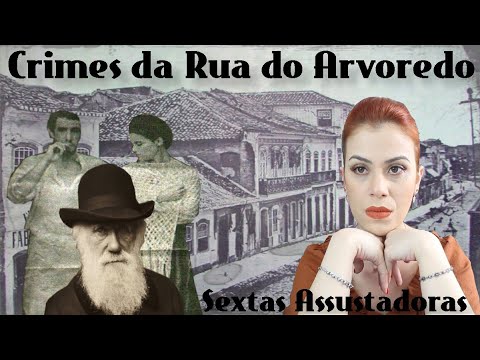 O Mistrio Da Rua Do Arvoredo - Porto Alegre - 1859 - 1864 - At Darwin?