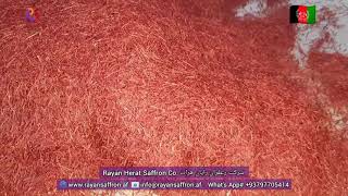 سوبر نقيل زعفران مضغوط