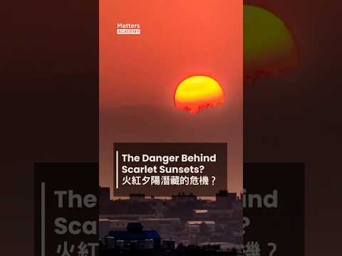 The danger behind scarlet sunsets? #esg #sustainability #shorts #smog #fog #airpollution #可持續發展 #霧霾