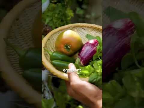Home & Garden ad