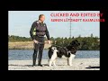 Danish Water Dog Traning