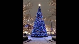 Blue Christmas by Matthew and Gunnar Nelson from their CD This Christmas Too