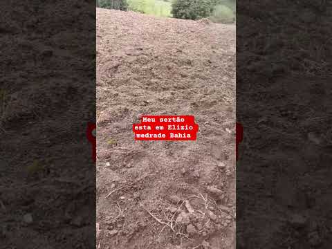 zona rural de Elísio Medrado Bahia