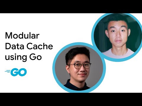 Modular Data Cache using Go