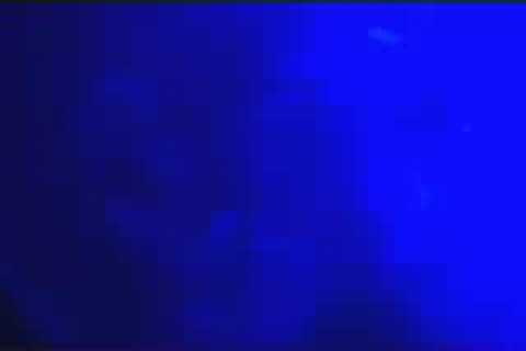 Faarsheed 2006 Promo DVD