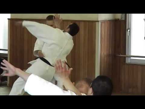 The 16th international Senshusei perform at the Yoshinkan Aikido honbu dojo – Kagami Biraki.
