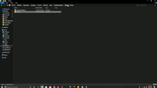 Video 2