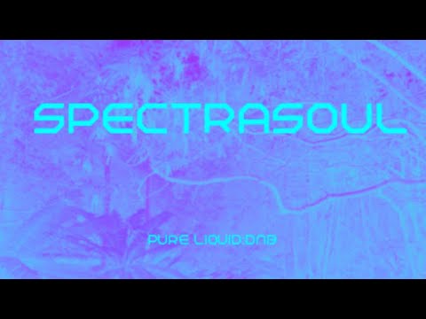 The Best  Of Spectrasoul (Pure Liquid) No: 246