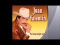 Juan Valentin [Perdona si te molesto]
